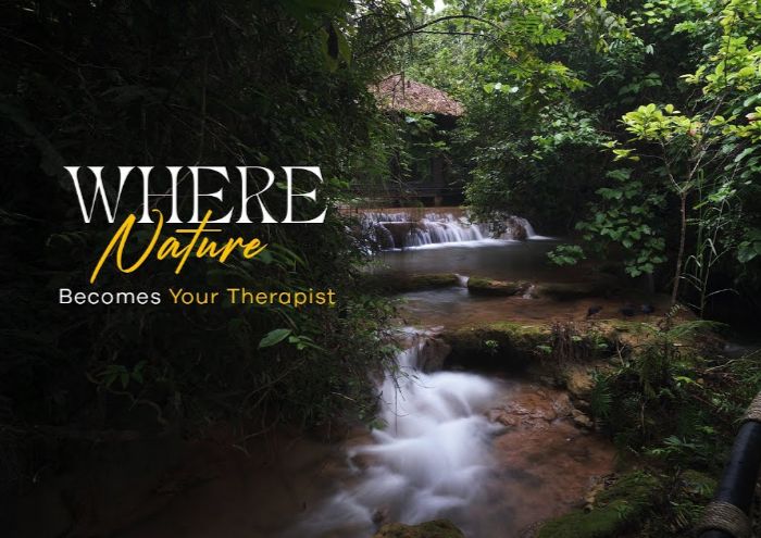 A Spa Hiding in the Forest